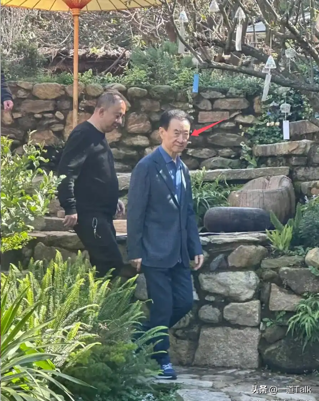 风水轮流转！王健林遇危机，儿子却凌晨4点携现任给前任狂刷礼品