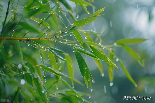 本日端午节，老人说最怕“端午节一日雨”，端午节下雨有啥预兆？