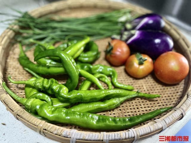潇潇聊美食丨去吧，黄瓜辣椒茄子一把抓
