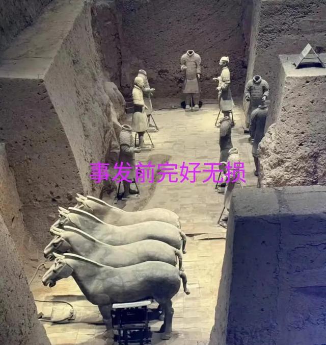 夫君毁坏兵马俑后续，身份曝光，或免于科罚
，眼见者发声，不简单