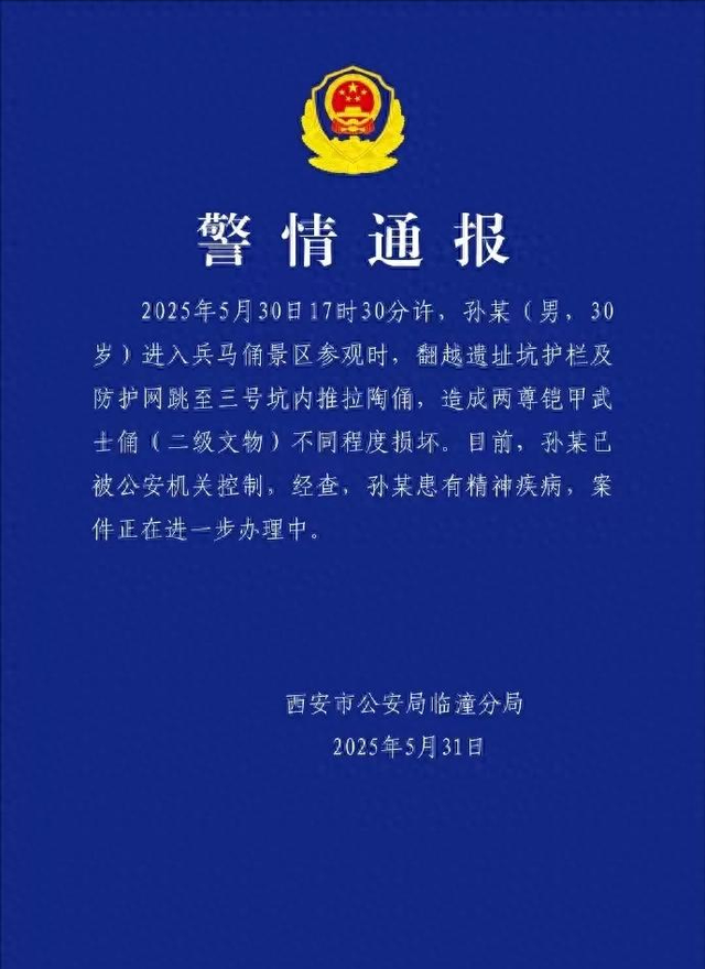 夫君毁坏兵马俑后续，身份曝光，或免于科罚
，眼见者发声，不简单