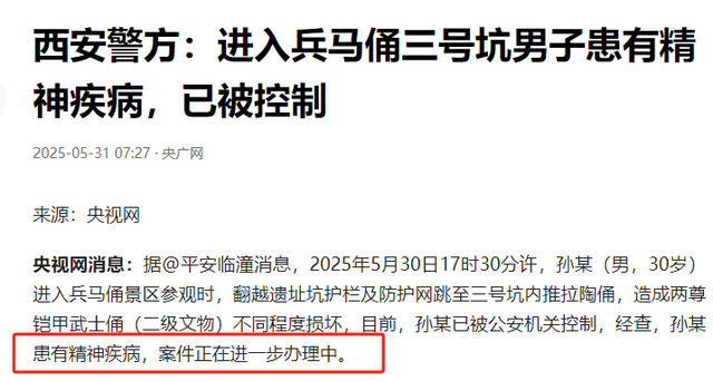 夫君毁坏兵马俑后续，身份曝光，或免于科罚
，眼见者发声，不简单