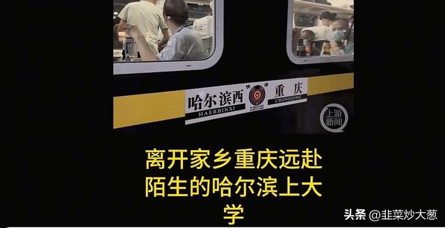 他，哈工大本硕被裁人4个多月，终于找到工作了，但工资降了7000