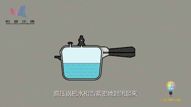 紧急提醒！端午剩下的粽子如许煮，警惕变“厨房炸弹”！