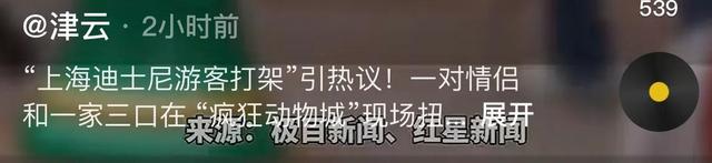 迪士尼微胖女打斗后续：目击者曝原因，警方转达，格后代是惹事精