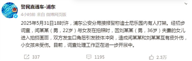 迪士尼微胖女打斗后续：目击者曝缘故原由，警方转达，格后代是惹事精