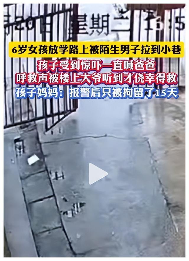 女童被壮汉拖进小巷，呼救声被楼上大爷听到才侥幸解围 警方通报： 男子已被拘留，将追究其刑事义务
！