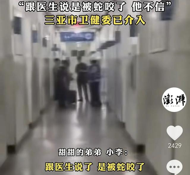 女子被毒蛇咬伤，两家医院医生均不信！终极毒发身亡，卫健委参与