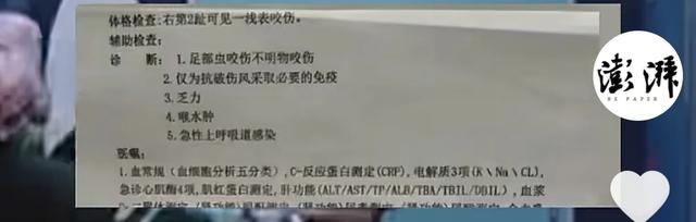 女子被毒蛇咬伤，两家医院医生均不信！终极毒发身亡，卫健委参与