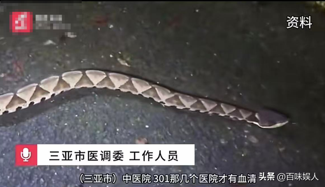 女旅客
被蛇咬身亡后续，身份背景
曝光，观察组介入，俩医院恐担责