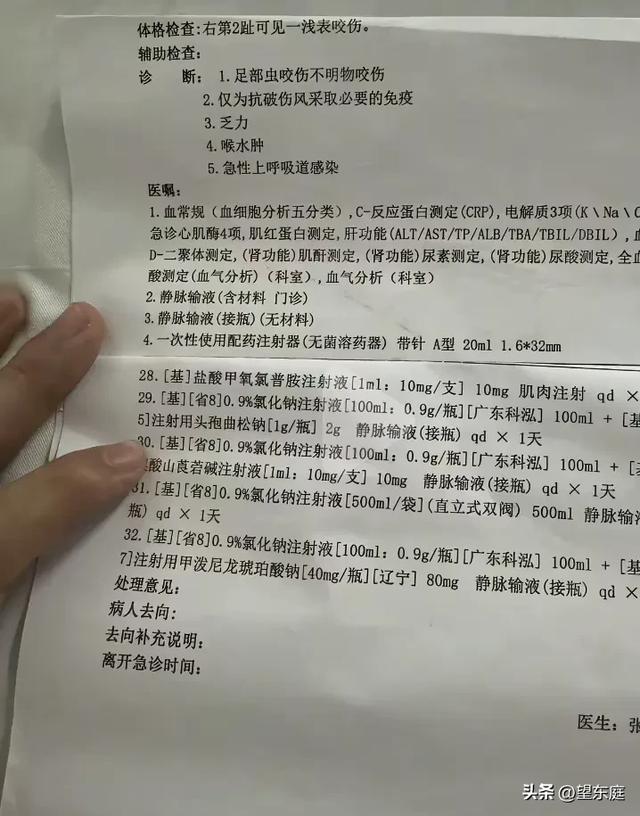 27岁女子在三亚被蛇咬后身亡：她长得温婉漂亮，是家中的独生女