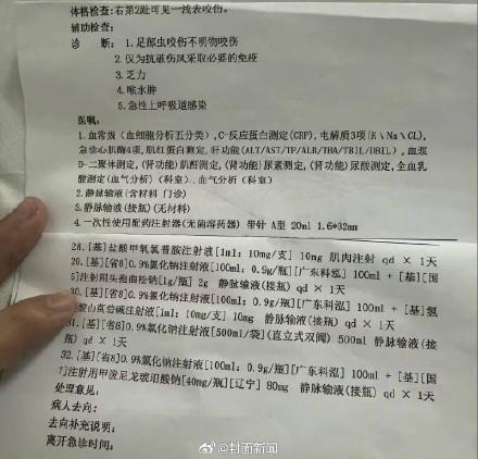 男友哽咽还原女友三亚被咬身亡进程
