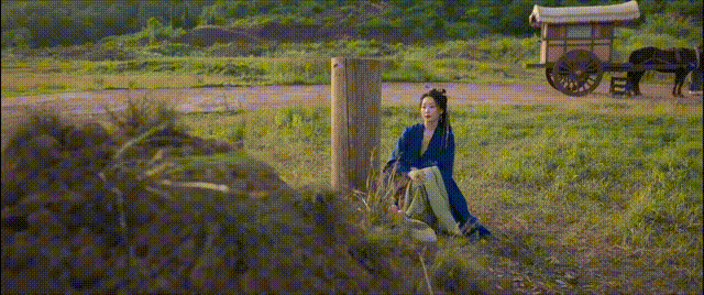深挖《藏海传》40集年夜
了局：新皇深藏不露，第三人赵秉文死于幻觉