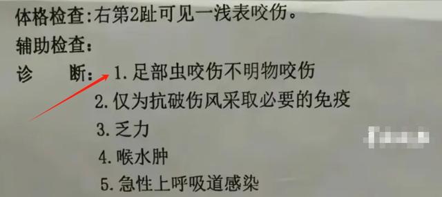 女游客被蛇咬伤身亡后续：“罪魁祸首”浮出水面，本来可以救活的