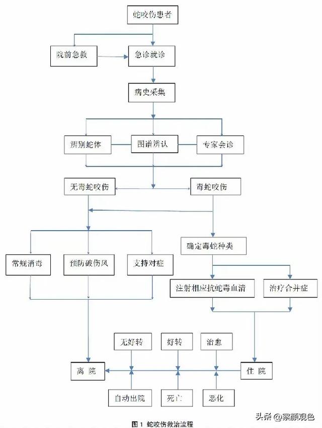女子被蛇咬身亡，将尸检身份配景曝光，男友还原过程，卫健委表态