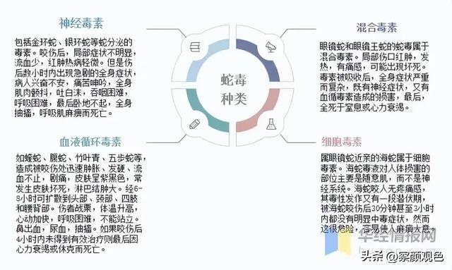 女子被蛇咬身亡，将尸检身份配景曝光，男友还原过程，卫健委表态