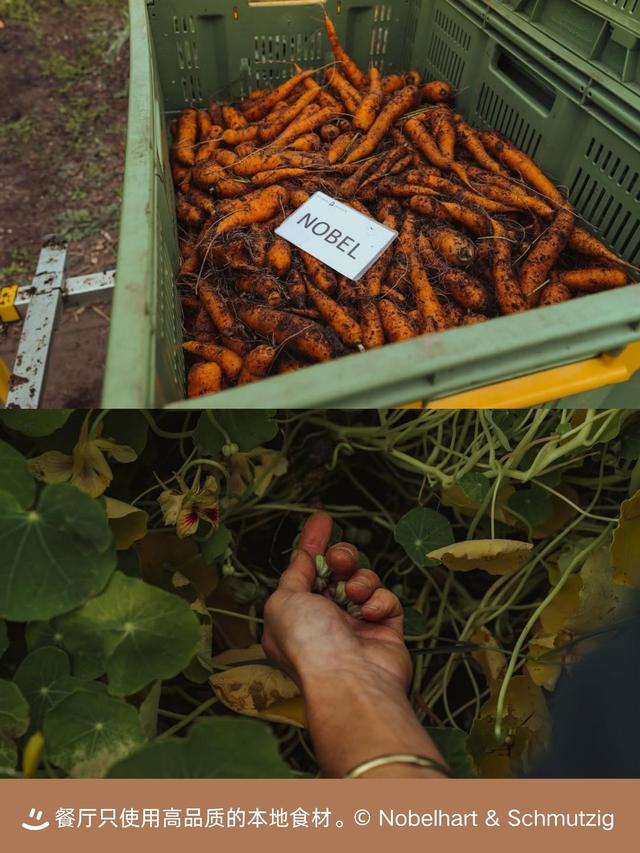 人均近 2000，禁绝照相，就吃几片菜叶子？这家餐厅在高贵什么