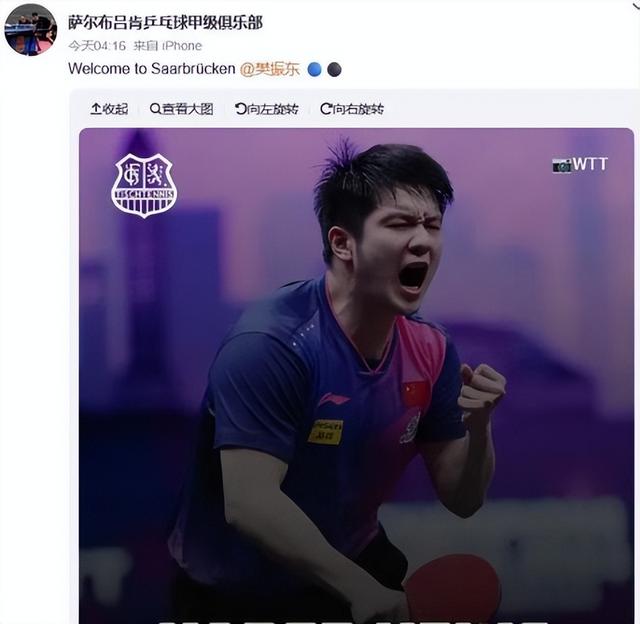 跑到德国也没逃过网暴，樊振东如今的境地，证明白郑钦文说的没错