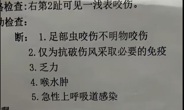 毒蛇咬伤女子内幕：黄金4小时错过3次自救，卫健委启动问责观察