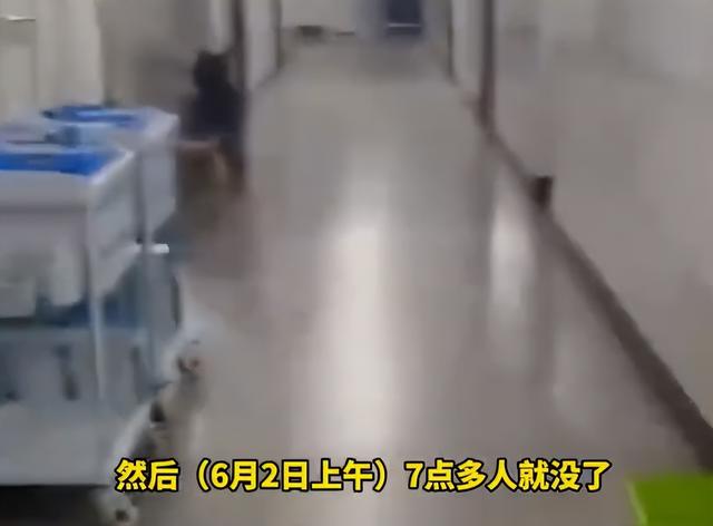 毒蛇咬伤女子内幕：黄金4小时错过3次自救，卫健委启动问责观察