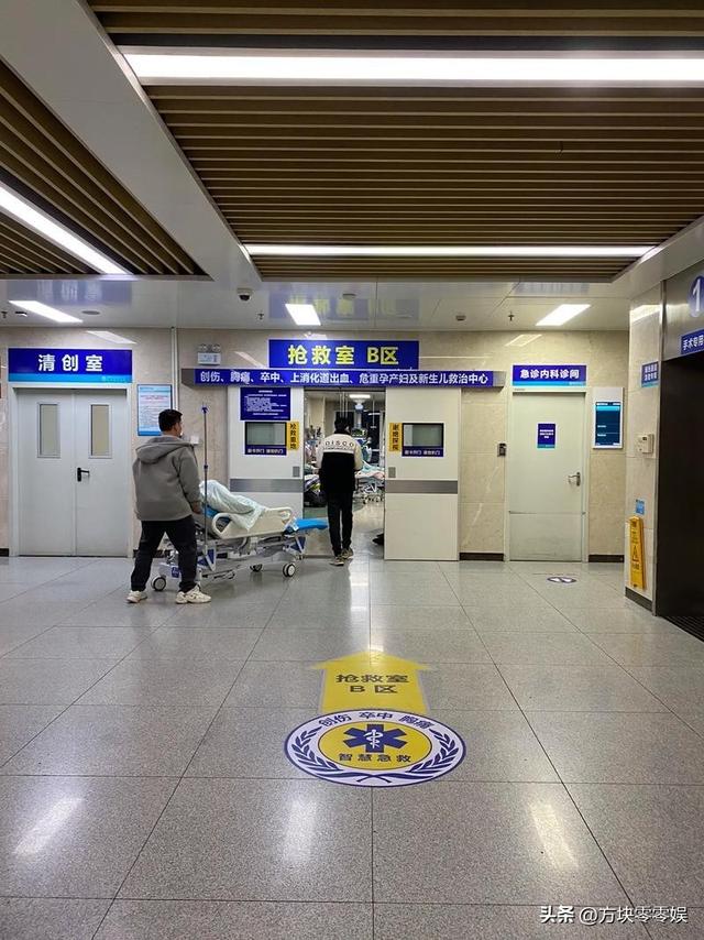 女游客
被蛇咬身亡后续，身份背景
曝光，观察
组介入，俩病院
恐担责