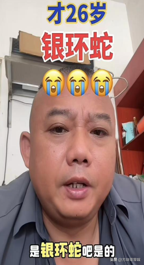 女游客
被蛇咬身亡后续，身份背景
曝光，观察
组介入，俩病院
恐担责