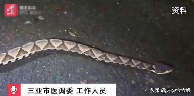 女游客
被蛇咬身亡后续，身份背景
曝光，观察
组介入，俩病院
恐担责