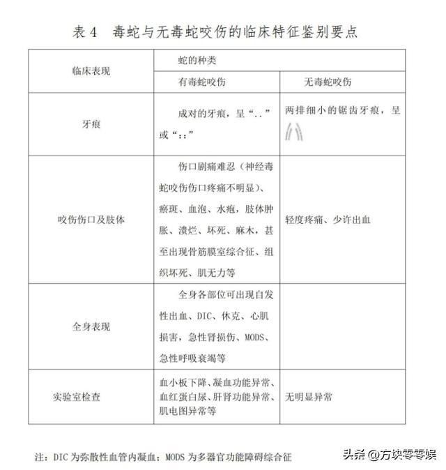 女游客
被蛇咬身亡后续，身份背景
曝光，观察
组介入，俩病院
恐担责