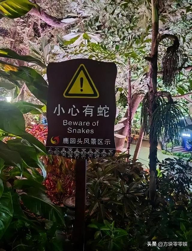 女游客
被蛇咬身亡后续，身份背景
曝光，观察
组介入，俩病院
恐担责