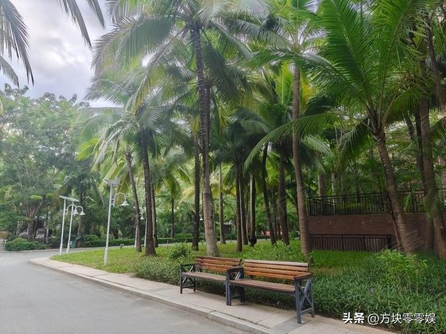 女游客
被蛇咬身亡后续，身份背景
曝光，观察
组介入，俩病院
恐担责