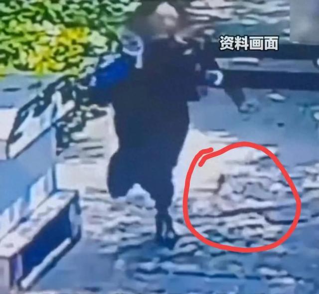 女子海南蛇咬身亡后续：家庭职业曝光，家属考虑验尸，卫健委回应
