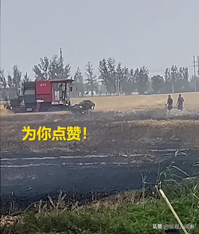 人平易近
日报表扬！外子
火海抢收麦田后续，政府颁奖，妻子回应引泪目