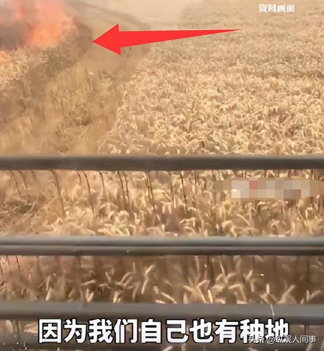 人平易近
日报表扬！外子
火海抢收麦田后续，政府颁奖，妻子回应引泪目