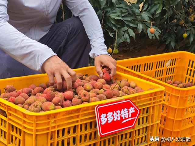 电商三巨子
一季度营收：京东3011亿，拼多多957亿，阿里令人不测