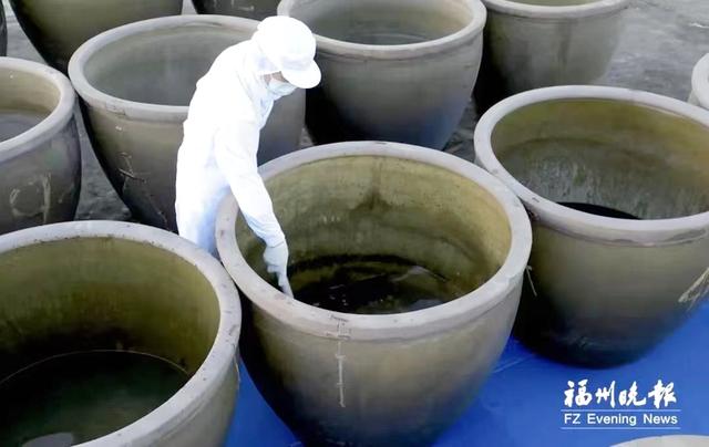 橄榄喷鼻香

飘闽江畔 千载流芳蜜饯甜