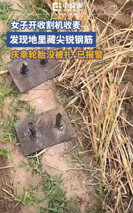 邯郸麦田插钢筋后续，警方宣布
传达
，农户发声，有人要慌了
