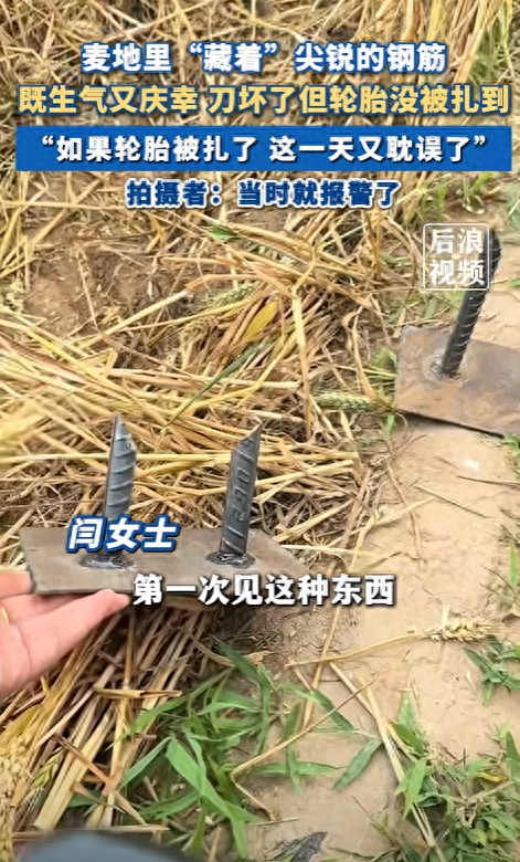 邯郸麦田插钢筋后续，警方宣布
传达
，农户发声，有人要慌了