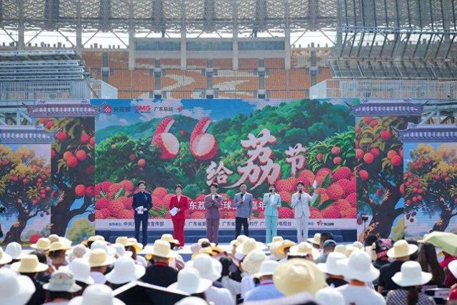 广东荔枝节上演“甜蜜
暴击”：巨无霸荔枝惊艳表态！