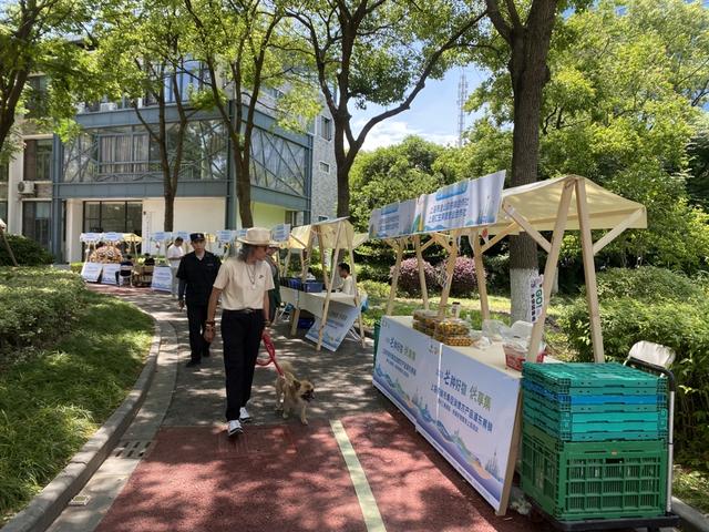零拷菜籽油、新中式茶啤、手工汆鱼丸……长三角好物走进申城
