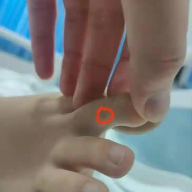后续！女子三亚蛇咬身亡，调查组参与，身份背景曝光，果真
不简朴