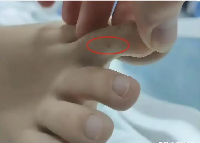 后续！女子三亚蛇咬身亡，调查组参与，身份背景曝光，果真
不简朴