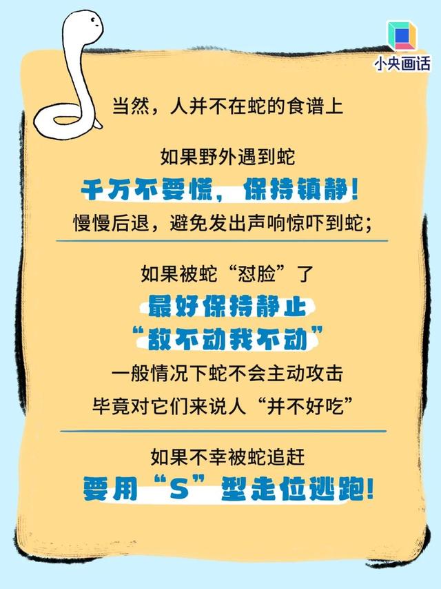 眷属走漏
：女子被咬身亡相关医生已停职！上海30天已有14人被蛇咬，伤人毒蛇根本都是它→