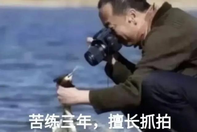 国产手机这些新技能，让我感觉iPhone17真的不喷鼻
了
