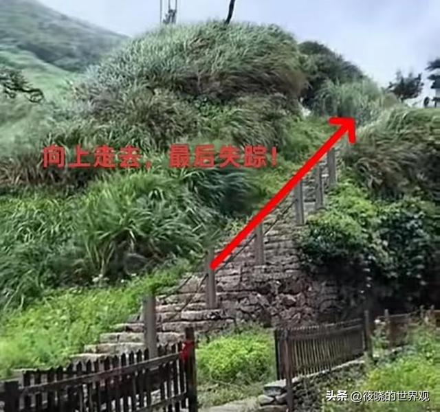 23岁独游女子罹难：尸体
腐烂，家中独女，聊天记录曝光逝世
因不简单