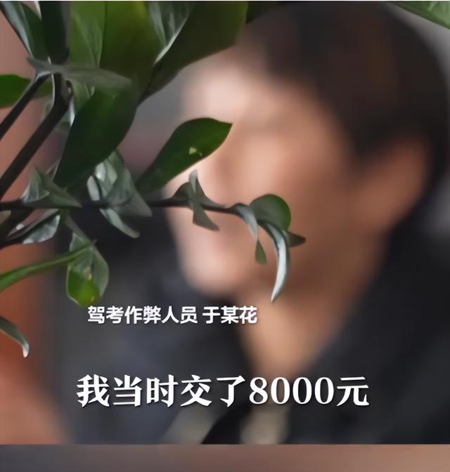 胆大妄为！石家庄考生作弊被抓，全程14分钟做完，幕后团伙不简单