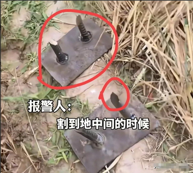 最高可判去世

刑！邯郸麦田插钢筋后续，警方转达：全面排查，零容忍