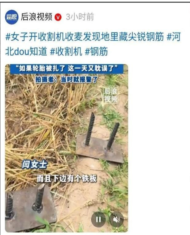 最高可判去世

刑！邯郸麦田插钢筋后续，警方转达：全面排查，零容忍