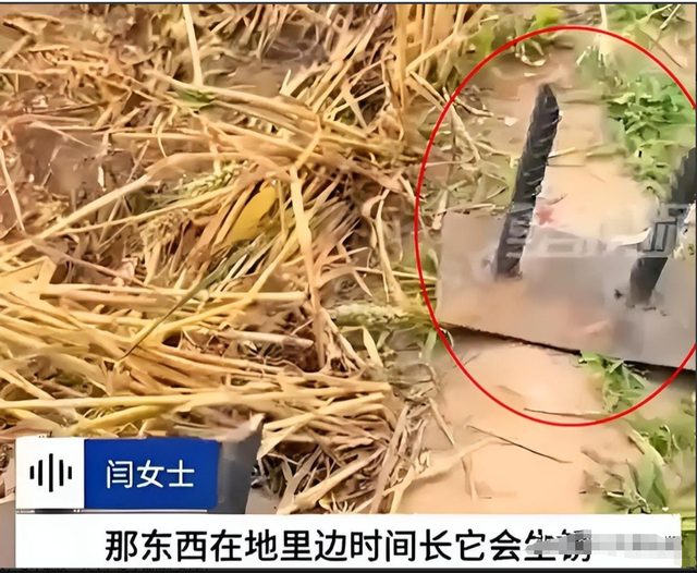 最高可判去世

刑！邯郸麦田插钢筋后续，警方转达：全面排查，零容忍