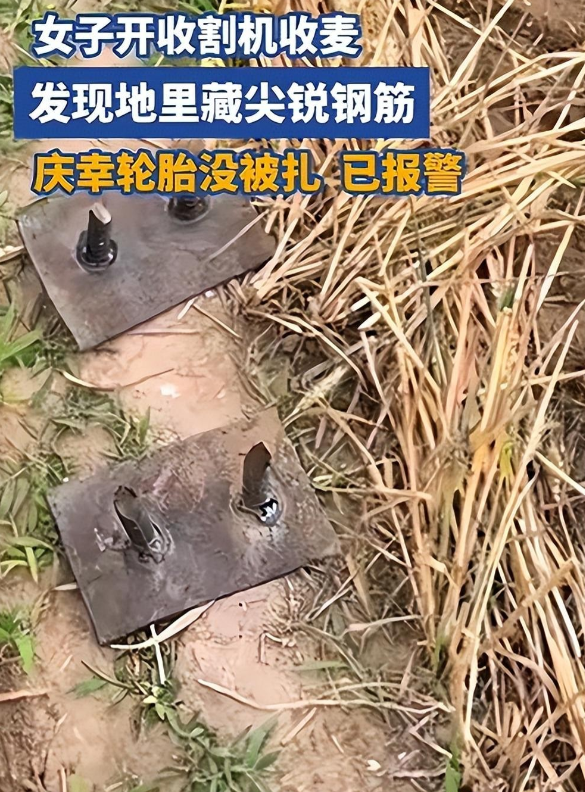 最高可判去世

刑！邯郸麦田插钢筋后续，警方转达：全面排查，零容忍