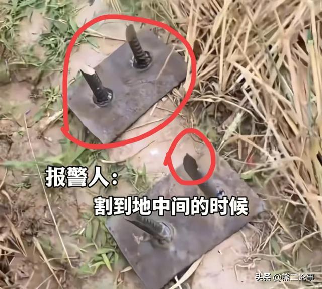 邯郸麦田插钢筋后续，警方传达
：零容忍，博主：最高判逝世
刑
